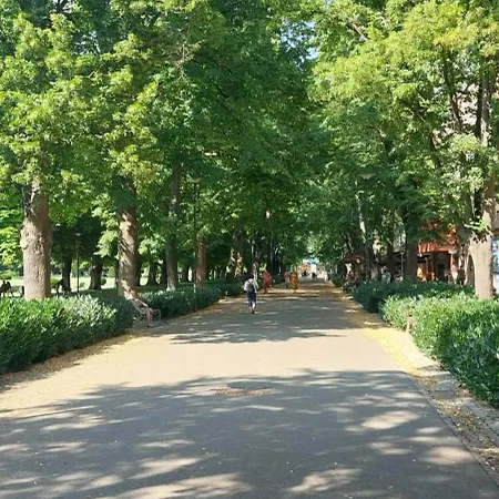 Spa Residence Podebrady Daire